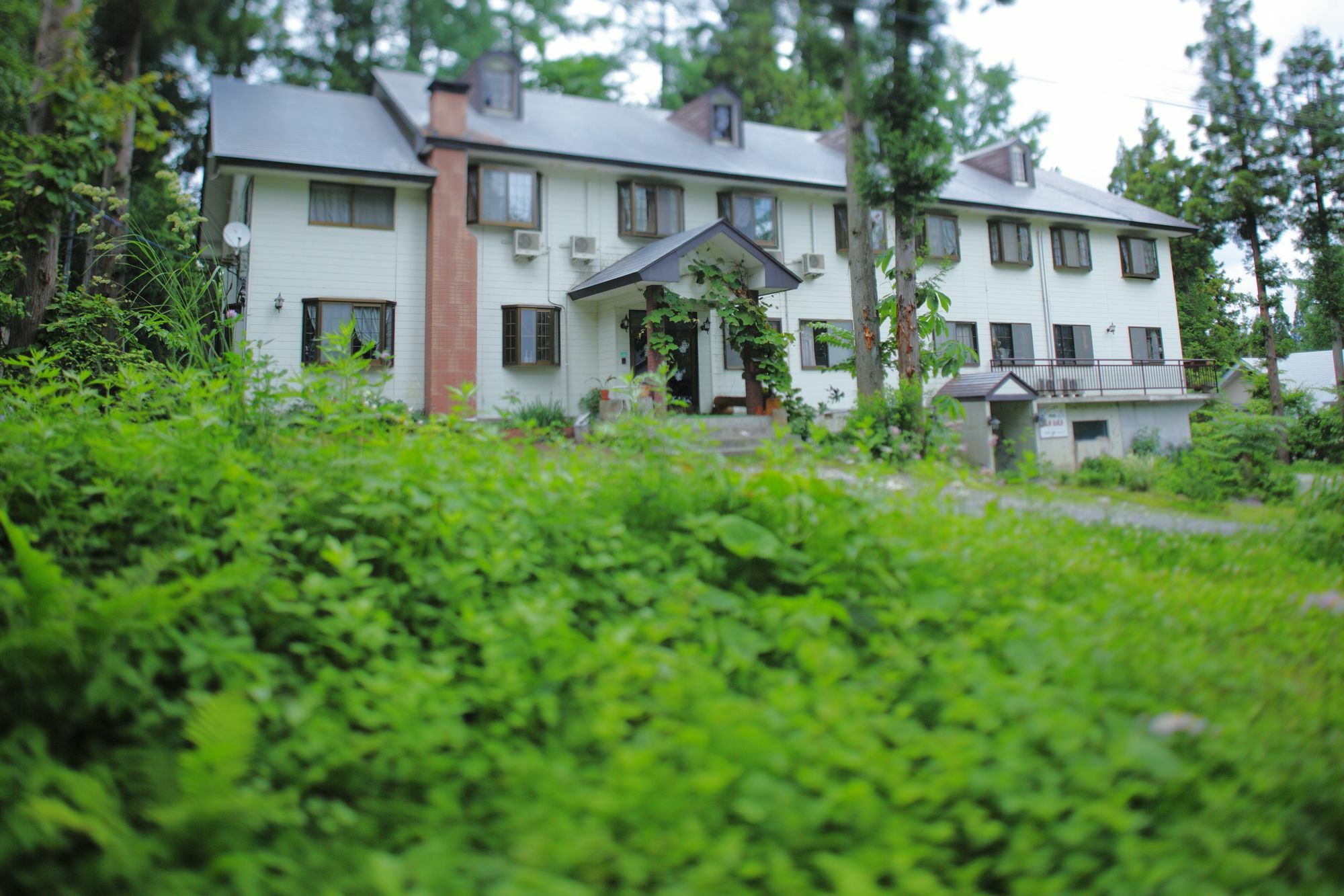 Hakubagoryu Pension&Logcottage Arumu Exteriör bild